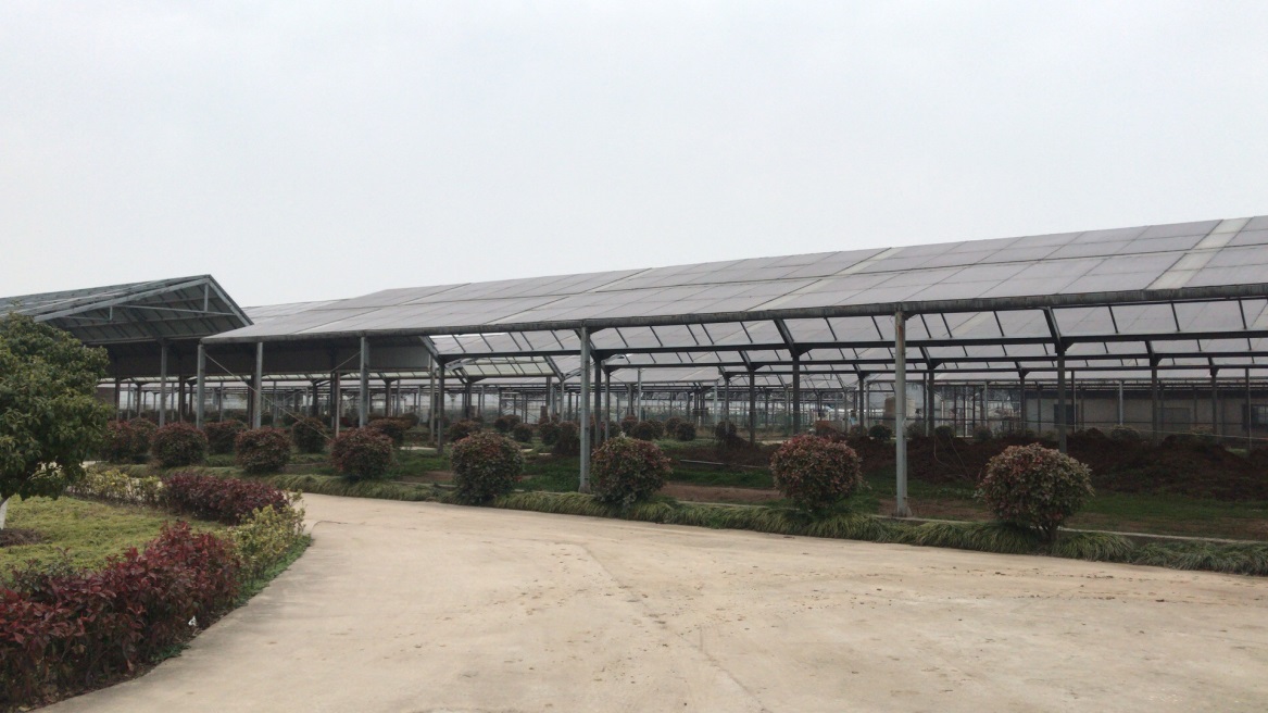 开拓光伏发电施工，致力做大做强